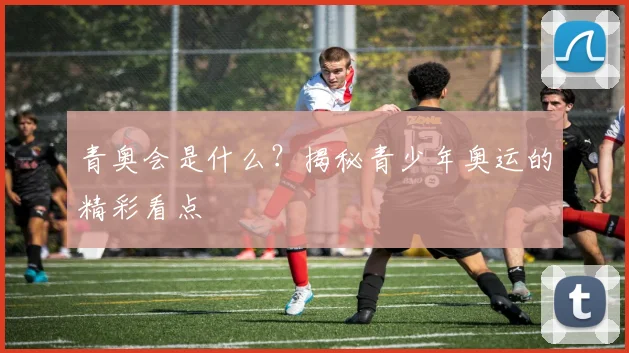 青奥会是什么？揭秘青少年奥运的精彩看点